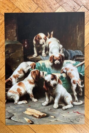 Beagle puppies aan het smullen - Carl Reichert - 1 kunst kaart A4