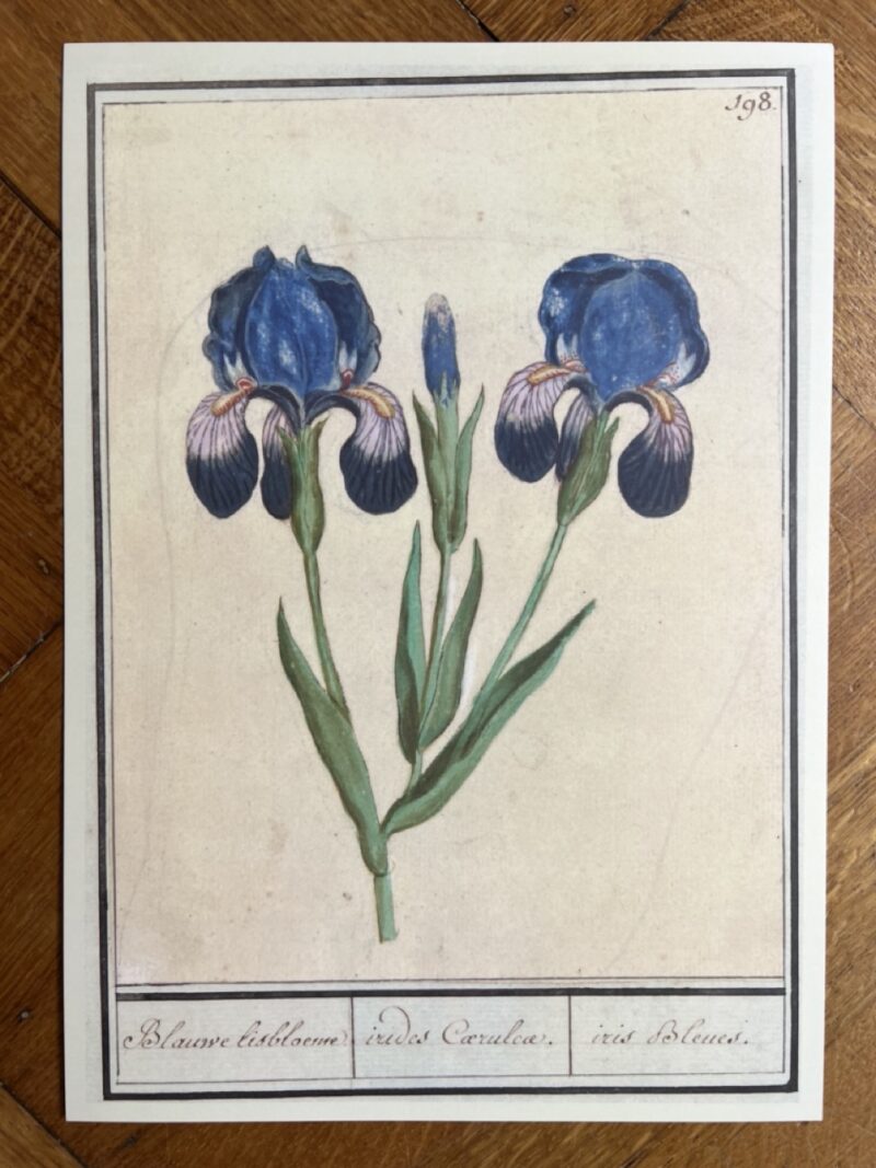 Bloemenstudie - A4 - no. 198