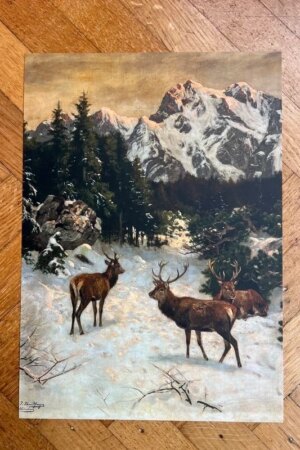 Edelhert in de Alpen in de winter - Josef Schmitzberger - 1 kunst kaart A4