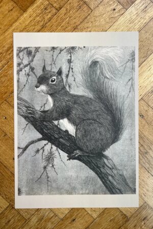 Eekhoorn - Henri Verstijnen - 1 kunst kaart A4