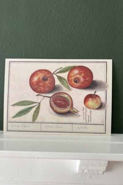 Granaatappels - A4