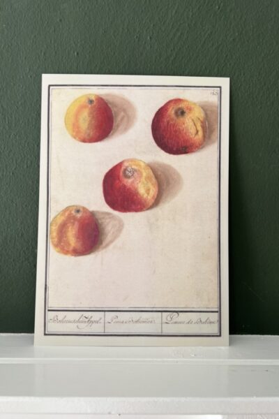 4 Appels - A4