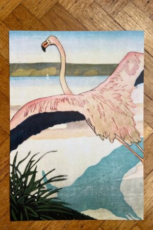 Flamingo - Carl Moser - 1 ArtPrintCard A4