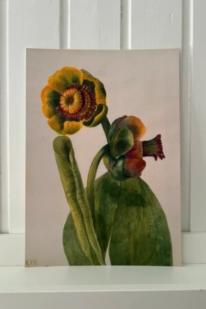 Gele Waterlelie - Mary Vaux Walcott - 1 ArtPrintCard A4