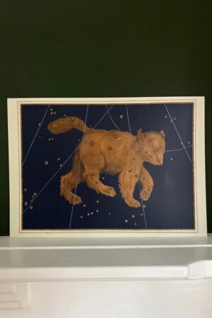 Grote Beer - Johann Bayer - 1 Artprintcard A4