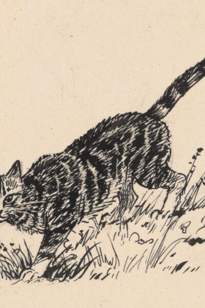 Kat – Henri Verstijnen – 1 kunst kaart A4 (21×29,7cm)