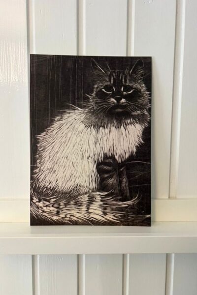 Bonte Angora – Henri Verstijnen – 1 kunst kaart A4 (21×29,7cm)