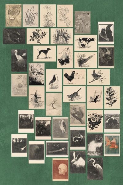 Alle kaarten - Henri Verstijnen – set van 40 kunst kaarten A4 (21×29,7cm)