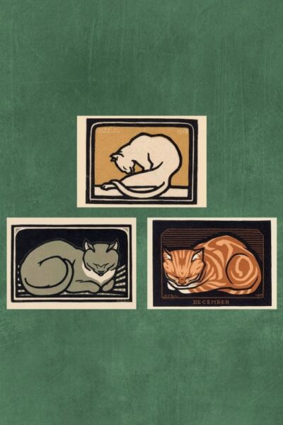 Katten Liggend – Julie de Graag – set van 3 kunst kaarten A4 (21×29,7cm)