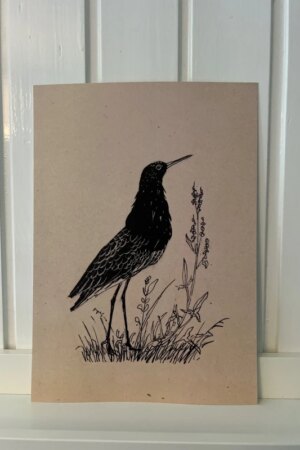 Kemphaan - Henri Verstijnen - 1 kunst kaart A4