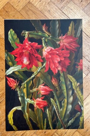 Kerstcactus - Christian Möllback - 1 kunst kaart A4