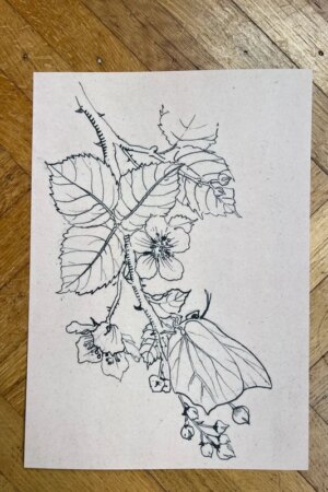 Kerstroos - Henri Verstijnen - 1 kunst kaart A4