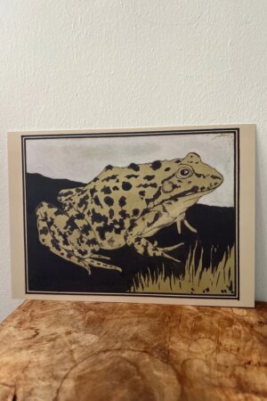 Kikker - Julie de Graag - 1 kunst kaart A4