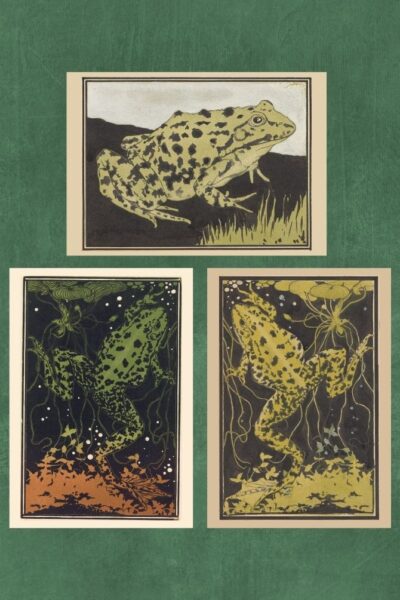 Kikkers – Julie de Graag – set van 3 kunst kaarten A4 (21×29,7cm)