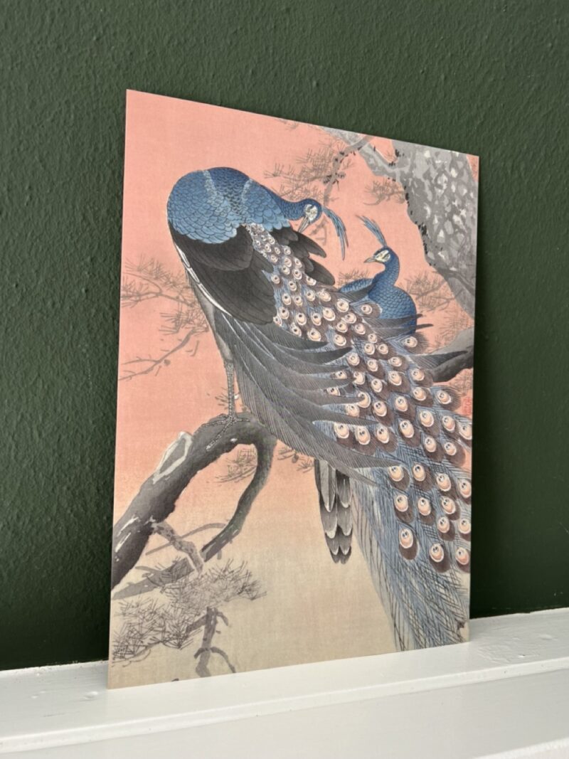 Ohara Koson Pauw - A4 - Afbeelding 3
