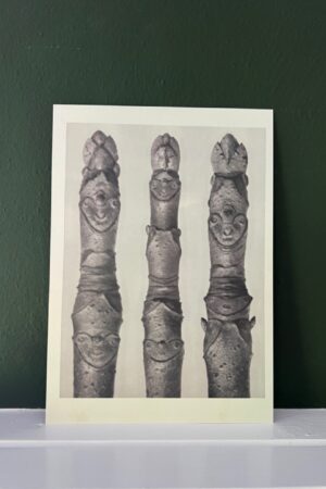Plantenstudie 7 - Karl Blossfeldt - 1 kunst kaart A4