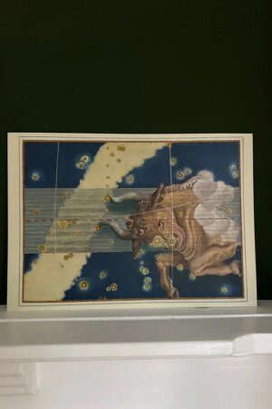 Stier - Johann Bayer - 1 Artprintcard A4