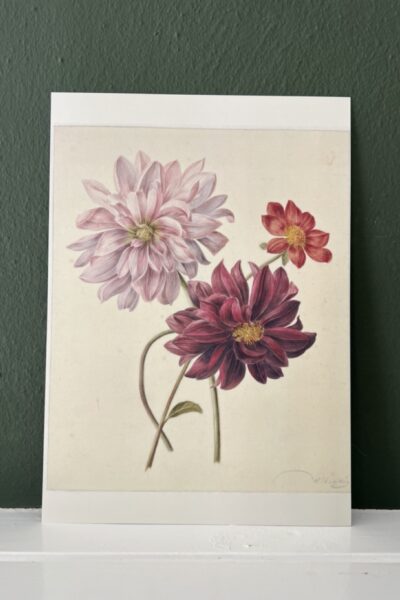 Veldbloemen - A4