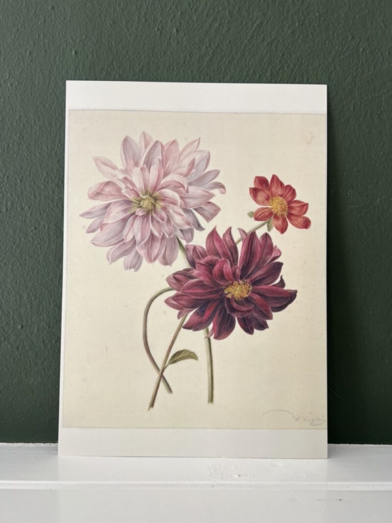 Veldbloemen - A4