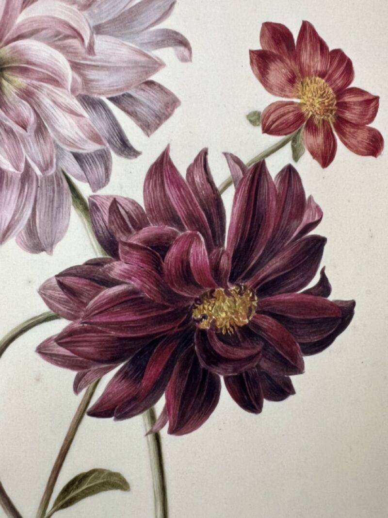 Veldbloemen - A4 - Afbeelding 3