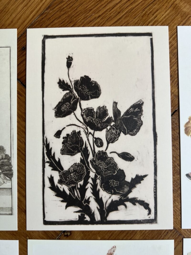 Vlinders en Insecten deel 4 - 12 wandkunstkaarten A6 - 3