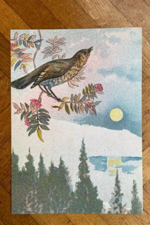 Vogelmotief 1 - Halfdan Gran - 1 kunst kaart A4