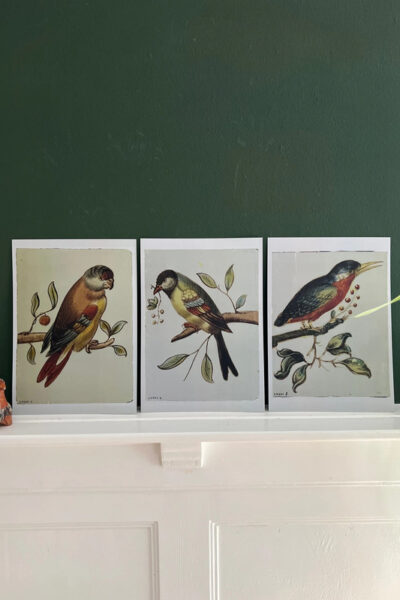 Vogels geschilderd op Glas