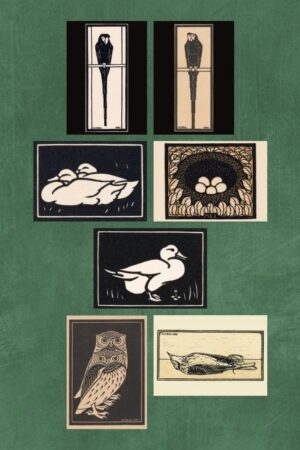 Vogels – Julie de Graag – set van 7 kunst kaarten A4 (21×29,7cm)