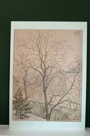 Walnootboom in de mist – Anna De Weert – 1 kunst kaart A4