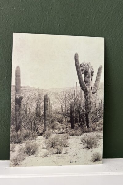 Cactus Kaart - A4 - Wanddecoratie Poster