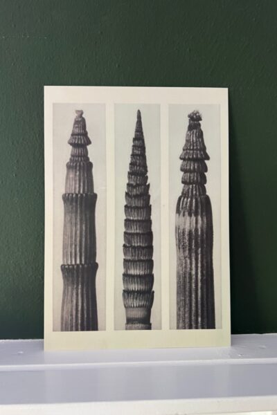Platenstudie 10 - A4 - Wanddecoratie Poster