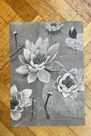 Waterlelies - Henri Verstijnen - 1 ArtPrintCard A4