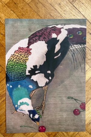 Weißgefleckter Pfau - Carl Moser - 1 ArtPrintCard A4