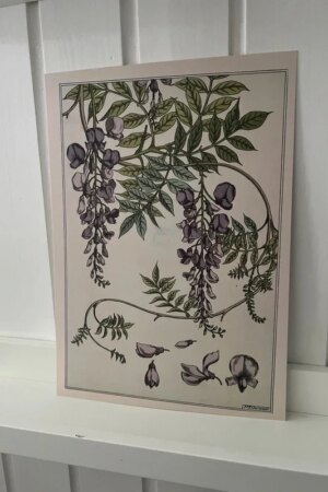 Wisteria / Blauwe regen – Maurice Pillard Verneuil – 1 ArtPrintCard A4