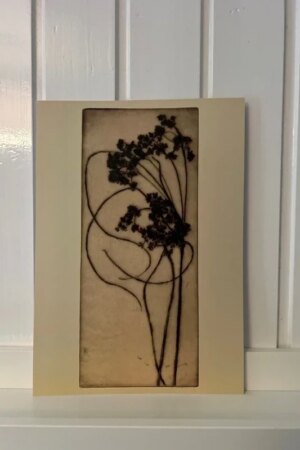 Woolgrass - Bertha Jaques - ArtPrintCard A4